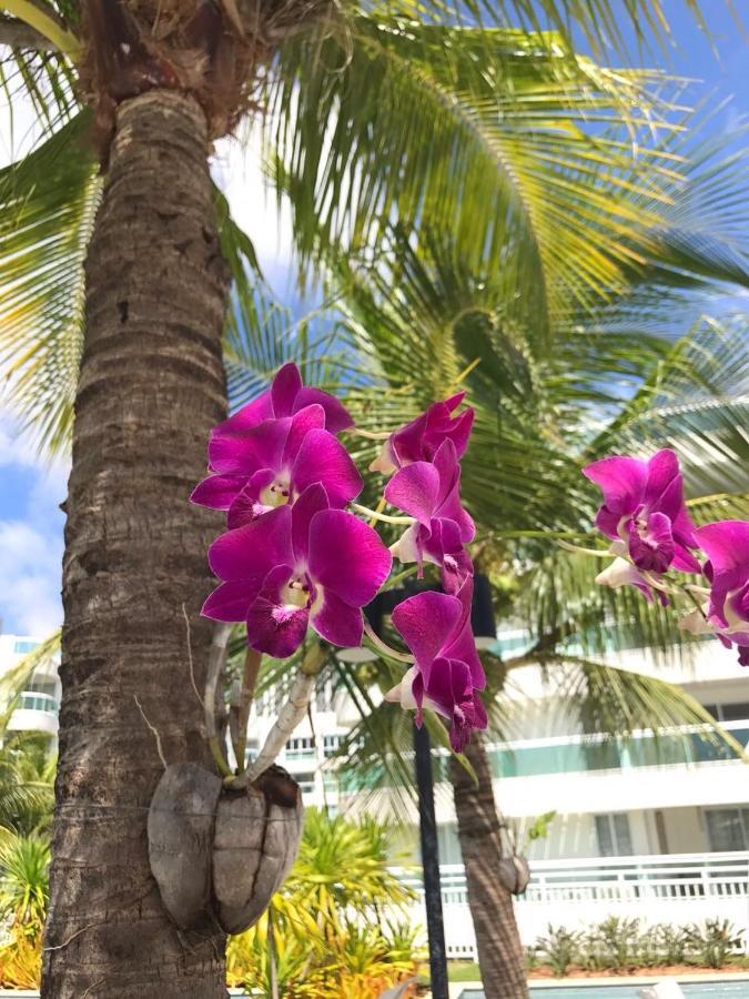 In Mare Bali Residencial Resort Pium de Cima Dış mekan fotoğraf